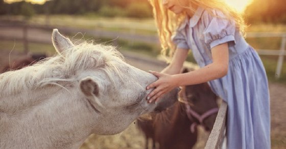 How Kids Who Love Animals Can Make Money