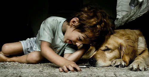 17+ Ways Kids Who Love Animals Can Make Money: Are you a kid who loves animals? Here are 17+ ways you can make money and spend time with animals at the same time.