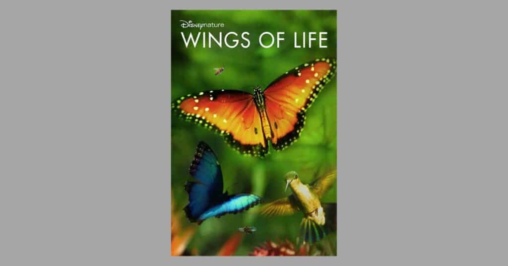 wings of life movie poster